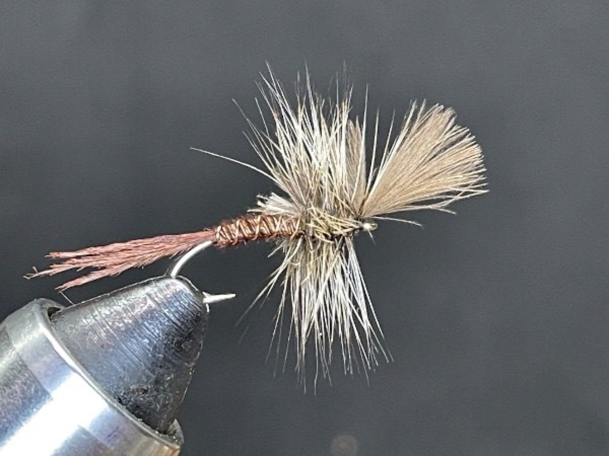 March Brown Emerger (Maccaffertium vicarium) fly pattern tied by Brent Jones