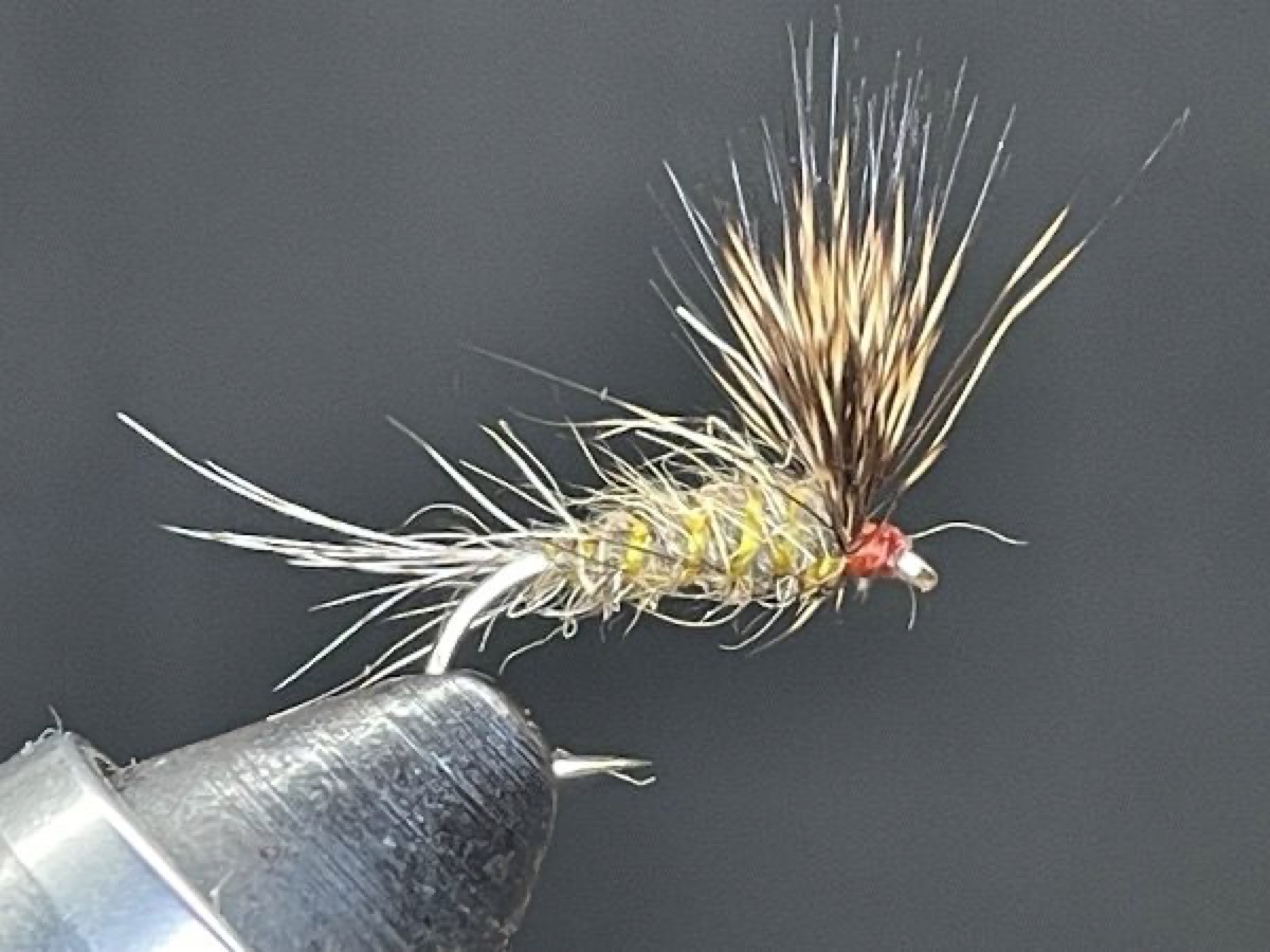 March Brown Dry Fly (Maccaffertium vicarium) fly pattern tied by Brent Jones