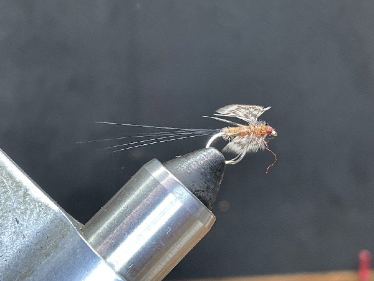 March Brown Spinner (Maccaffertium vicarium) fly pattern tied by Brent Jones