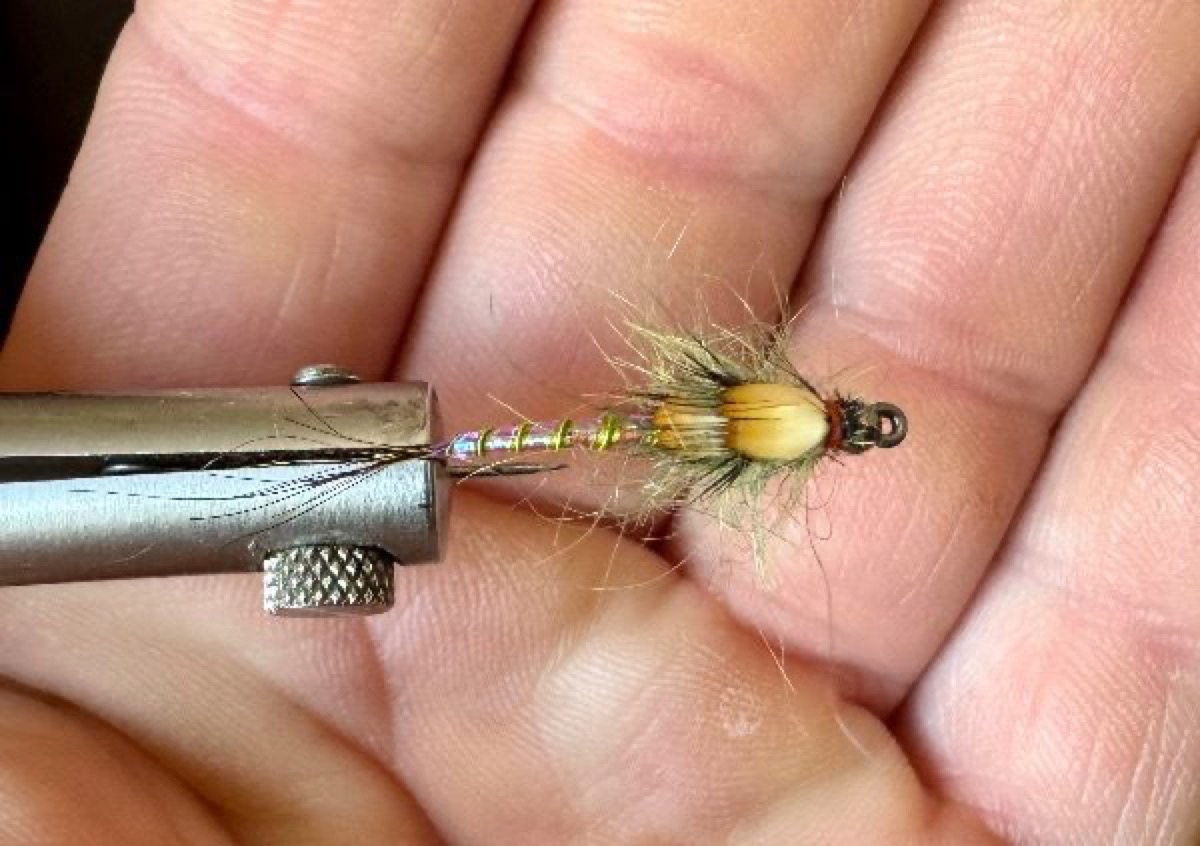 3 tiered mortgage nymph fly pattern tied by James R Bass