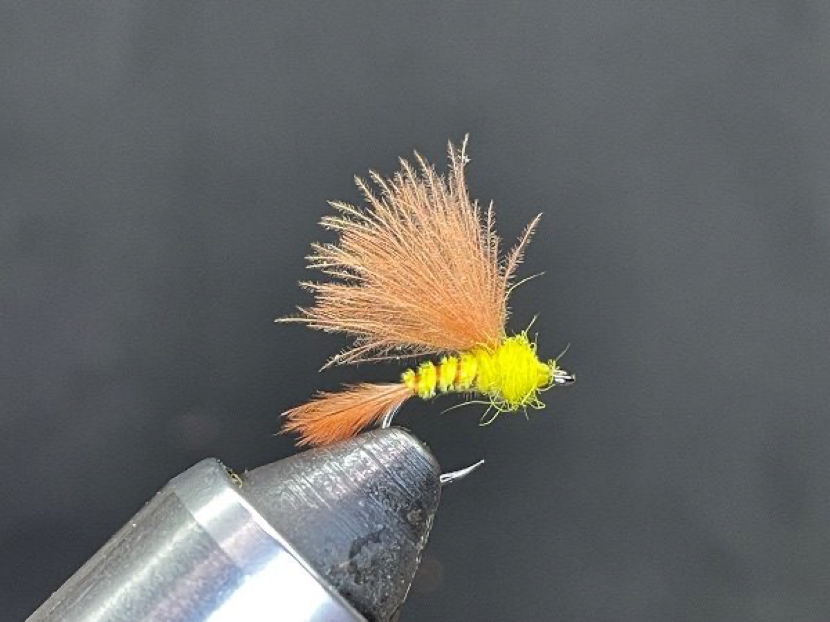 Sulpher Emerger (Ephemerella invaria) fly pattern tied by Brent Jones