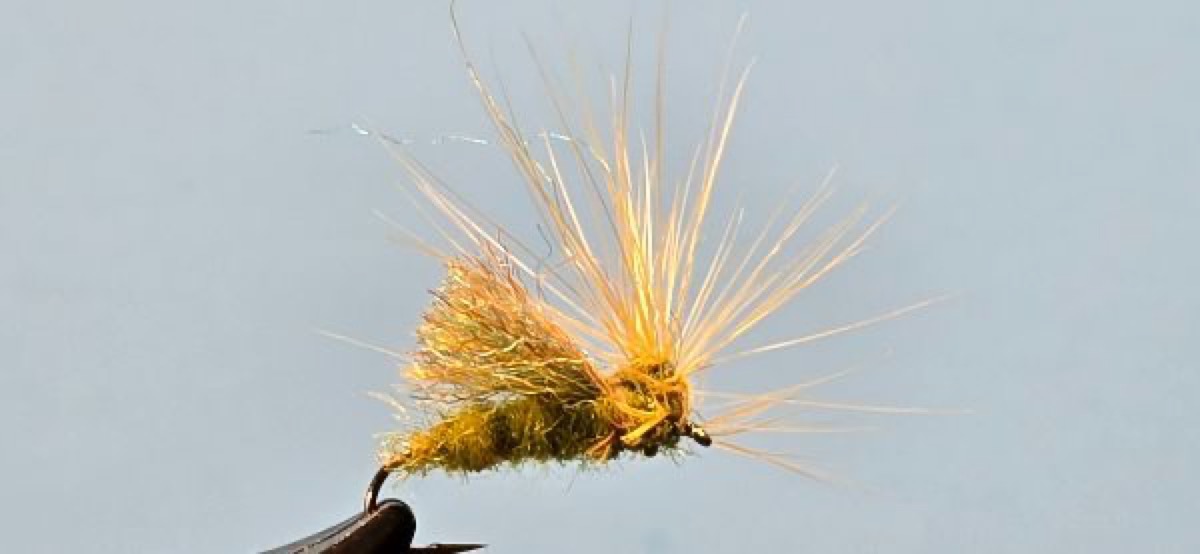 Para-Poly Sledge fly pattern tied by Darrell Olson