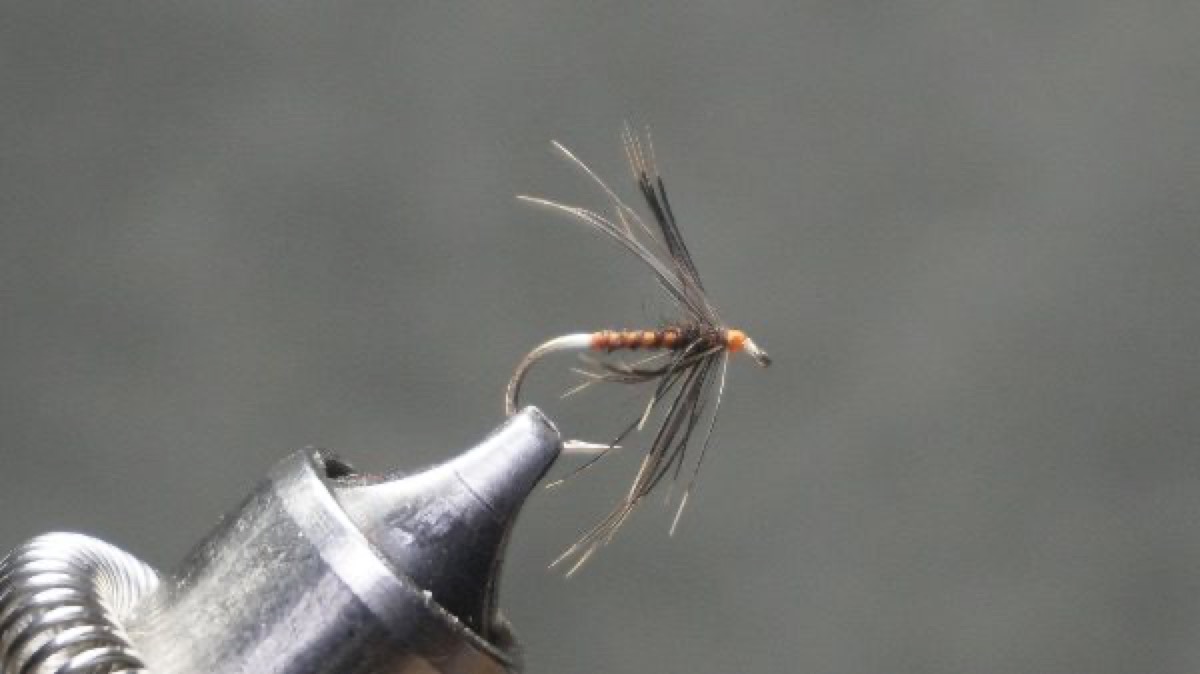 Seal & Starling fly pattern tied by Christian Andrews