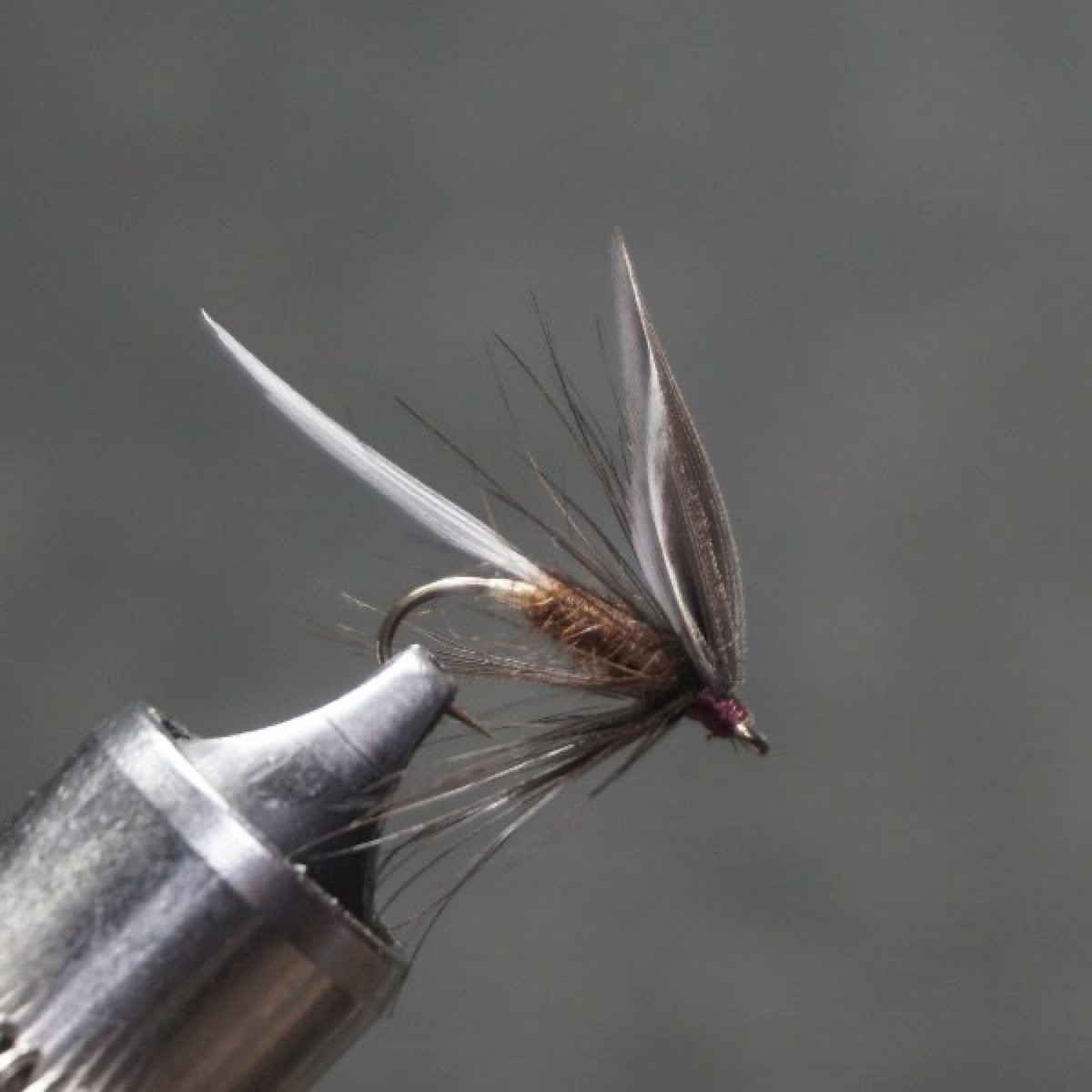 Great Dun fly pattern tied by Christian Andrews