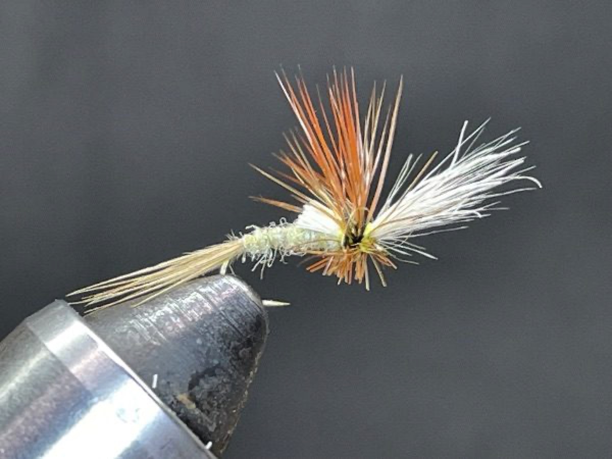 Sulphur Cripple (Ephemerella invaria) fly pattern tied by Brent Jones