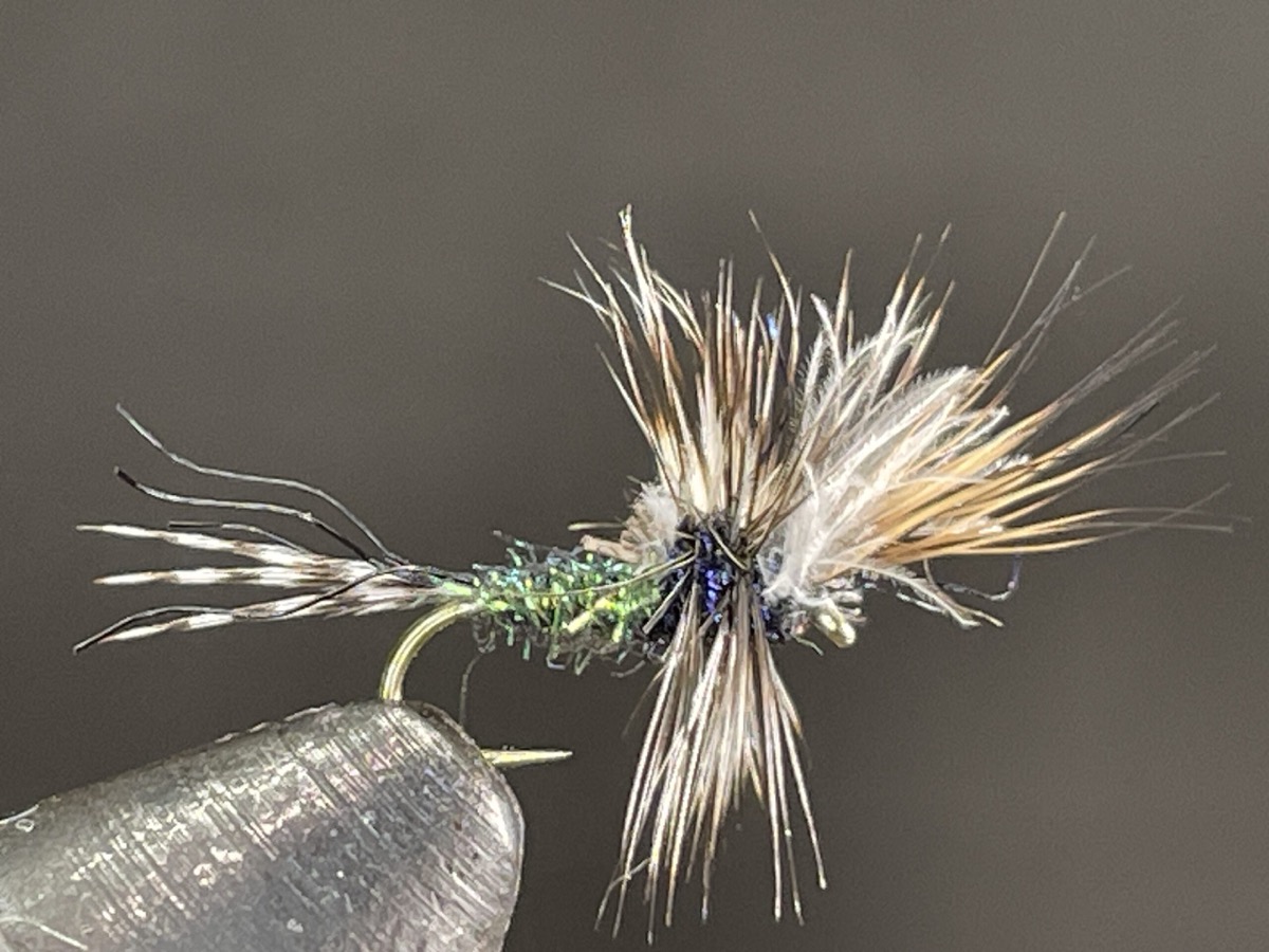 D&D Cripple Variant fly pattern tied by Brent Jones
