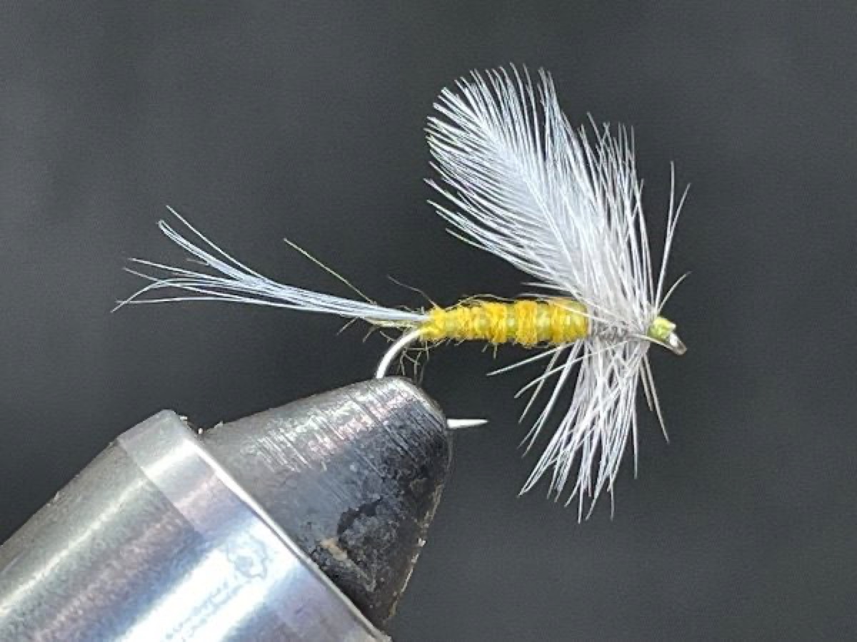 Sulphur Dry Fly (Ephemerella invaria) fly pattern tied by Brent Jones