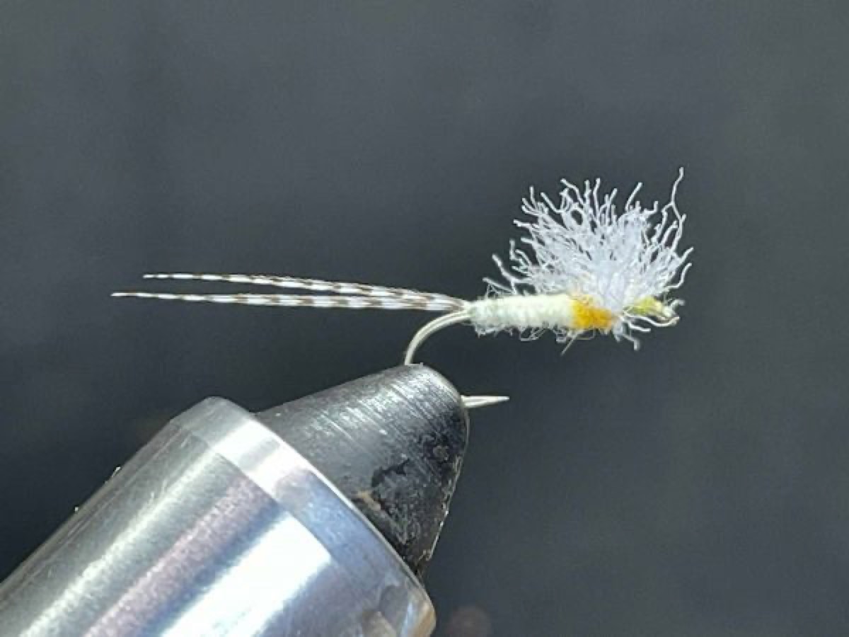 Spent Sulphur Mayfly (Ephemerella invaria) fly pattern tied by Brent Jones