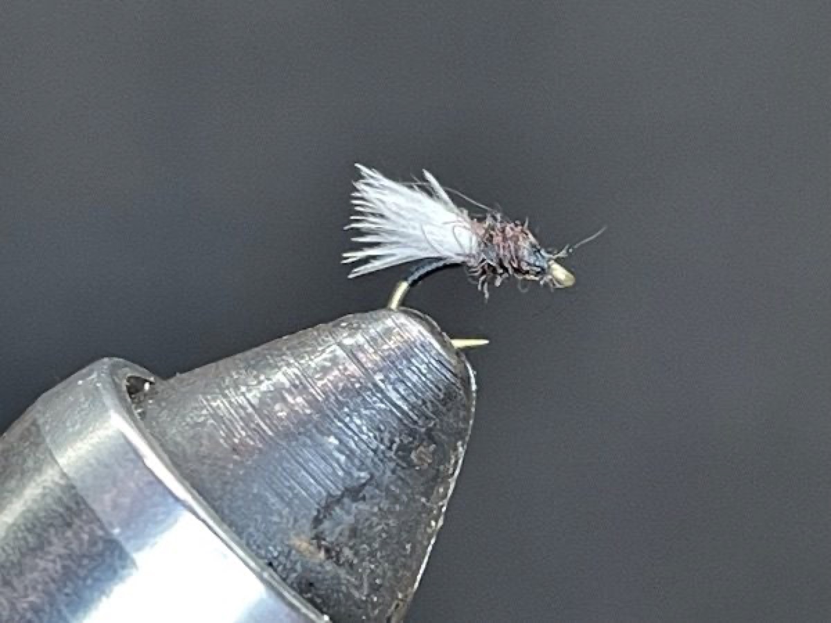 Trico Emerger (Tricorythodes) fly pattern tied by Brent Jones