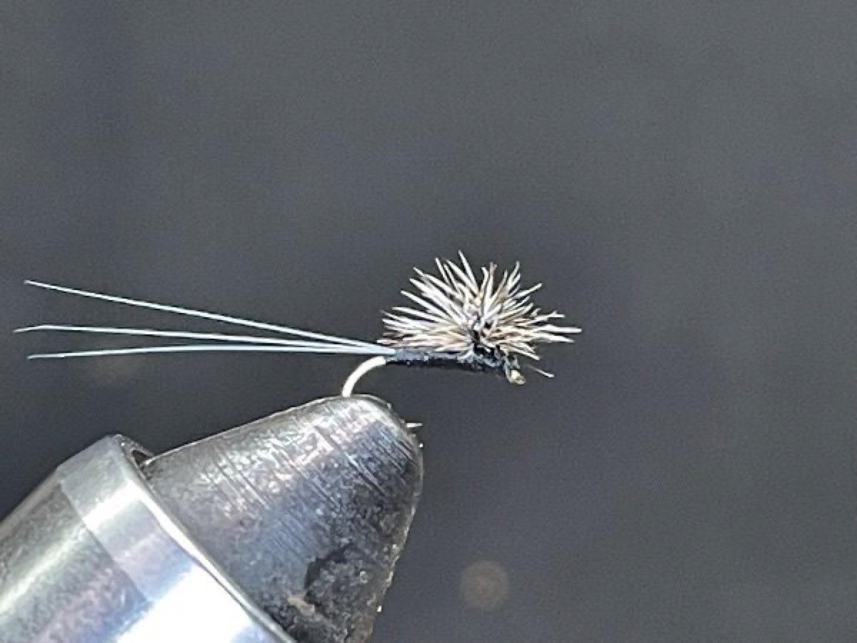 Trico Hackle Stack Dry Fly (Tricorythodes) fly pattern tied by Brent Jones