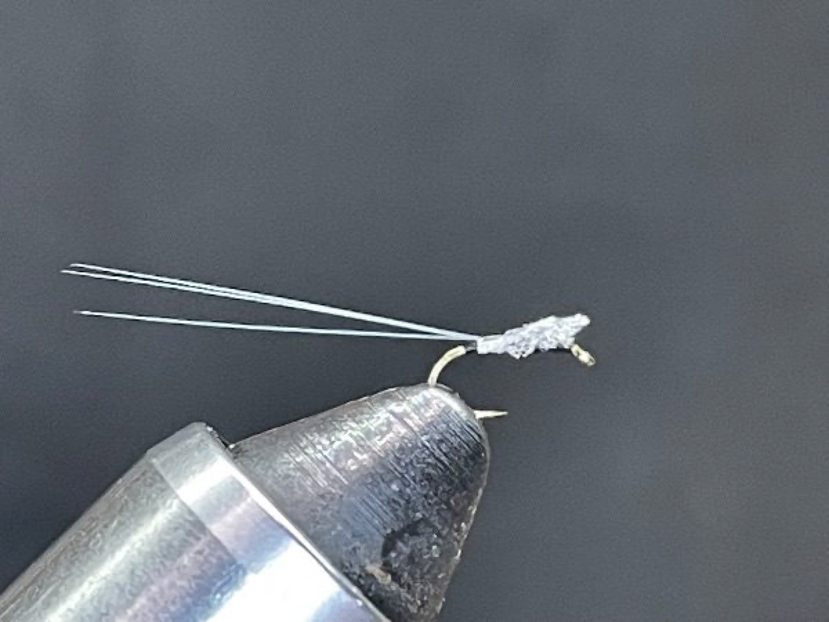 Trico Spinner (Tricorythodes) fly pattern tied by Brent Jones
