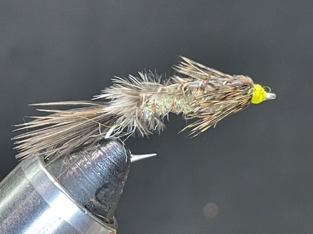 Hex Nymph (Hexagenia limbata) fly pattern tied by Brent Jones