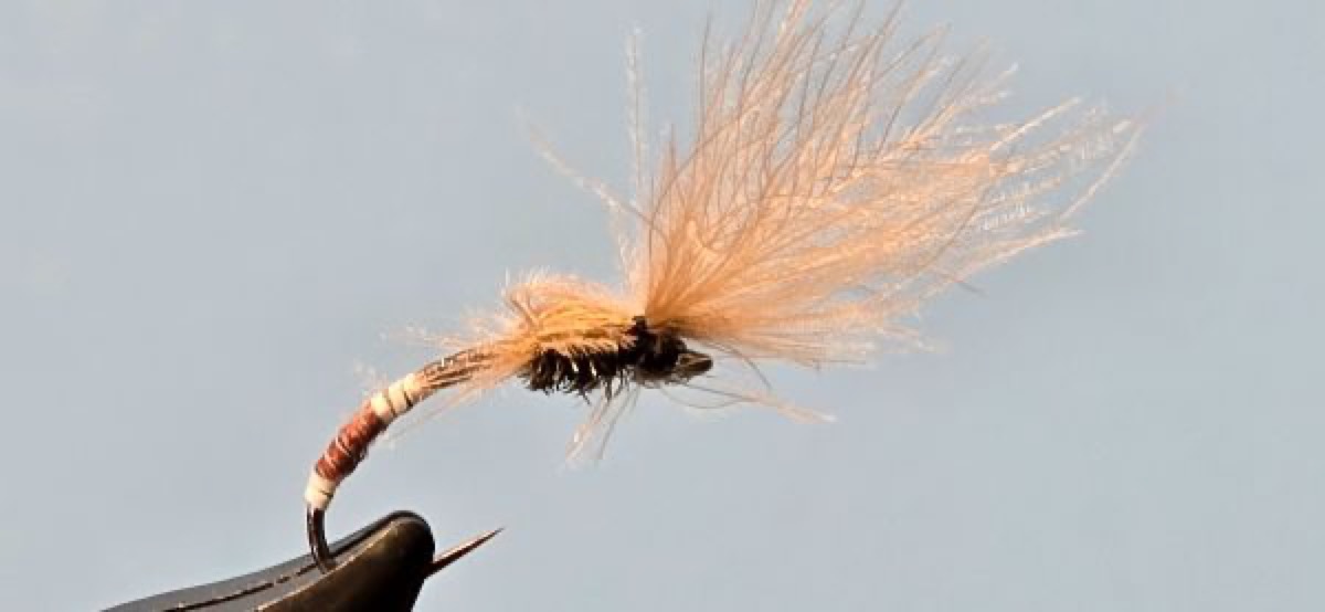 Once and Away fly pattern tied by Darrell Olson