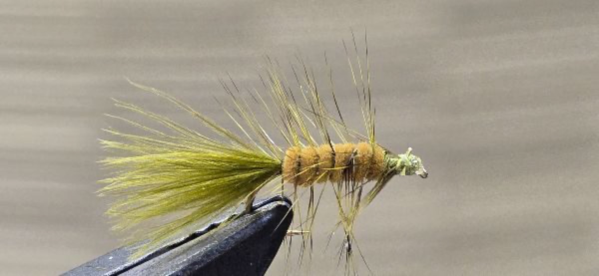 Walter's Panfish Woolly Bugger fly pattern tied by Darrell Olson