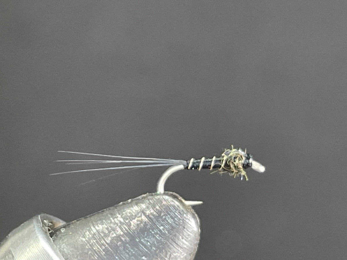 Long Tail Little Black Fly fly pattern tied by Brent Jones