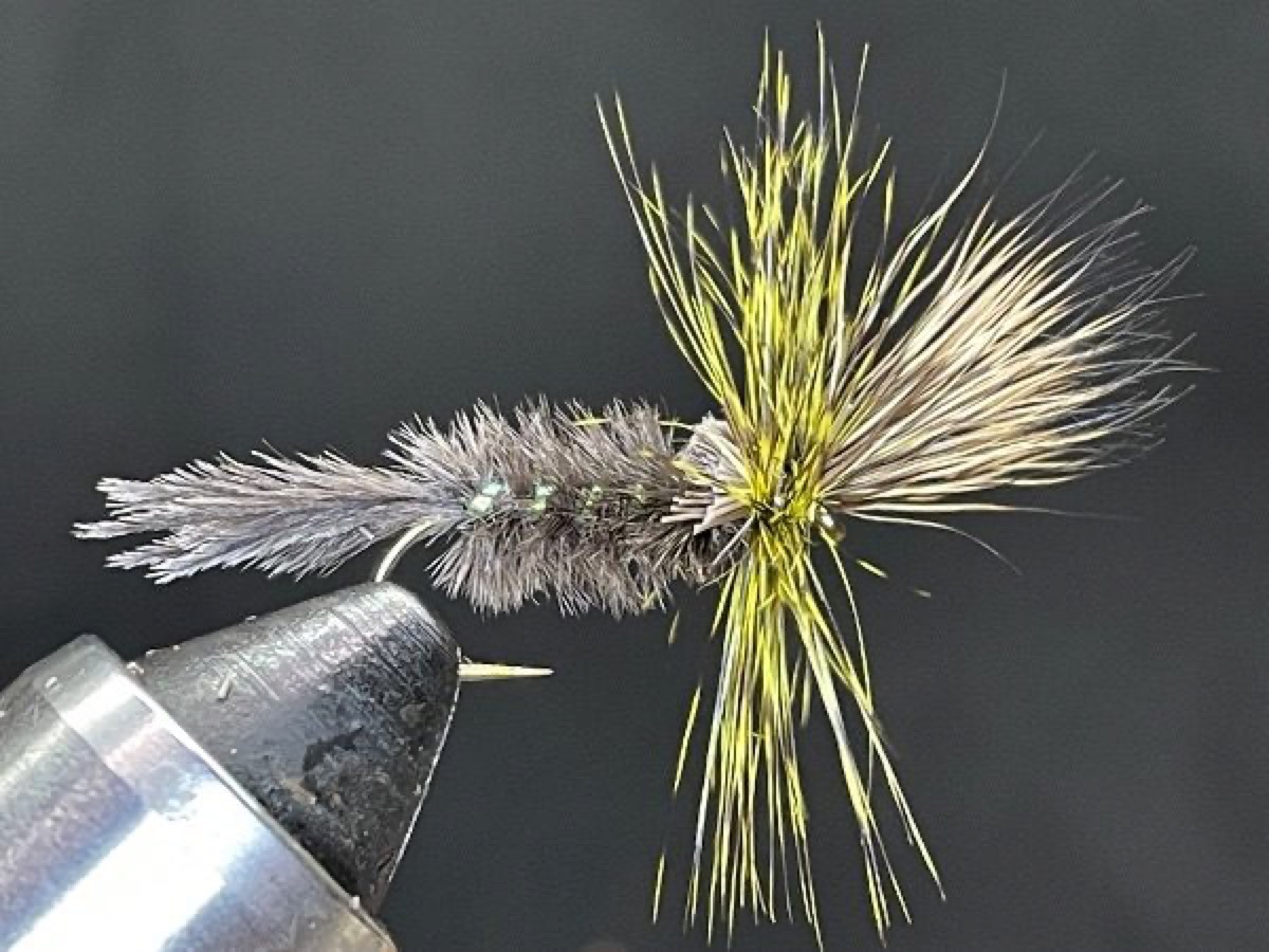 Hexagenia (Hex) Cripple (Hexagenia limbata) fly pattern tied by Brent Jones