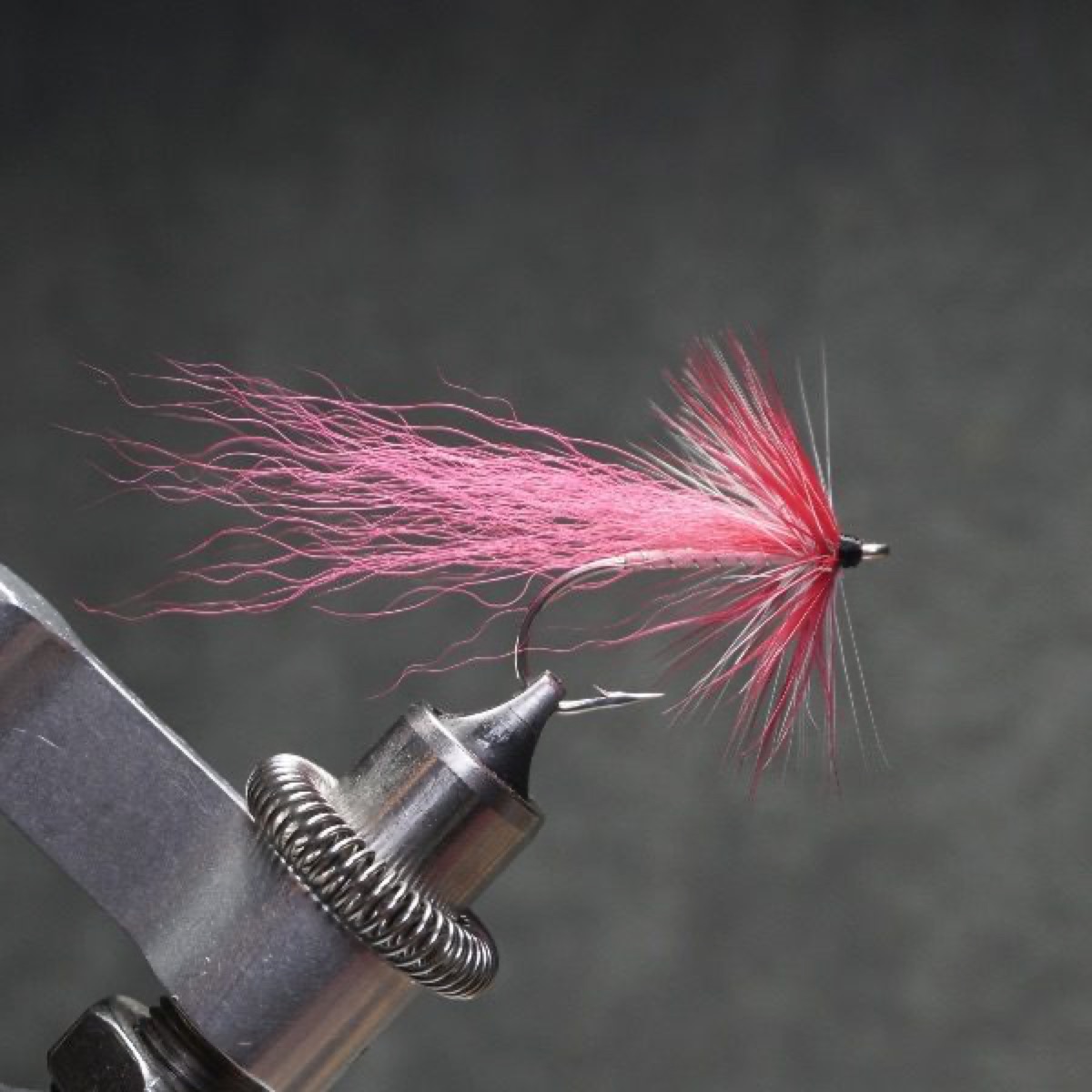 Lizzie fly pattern tied by Christian Andrews