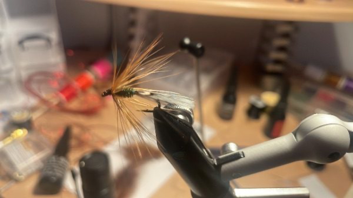 Random wet fly fly pattern tied by Laurent Bertrand