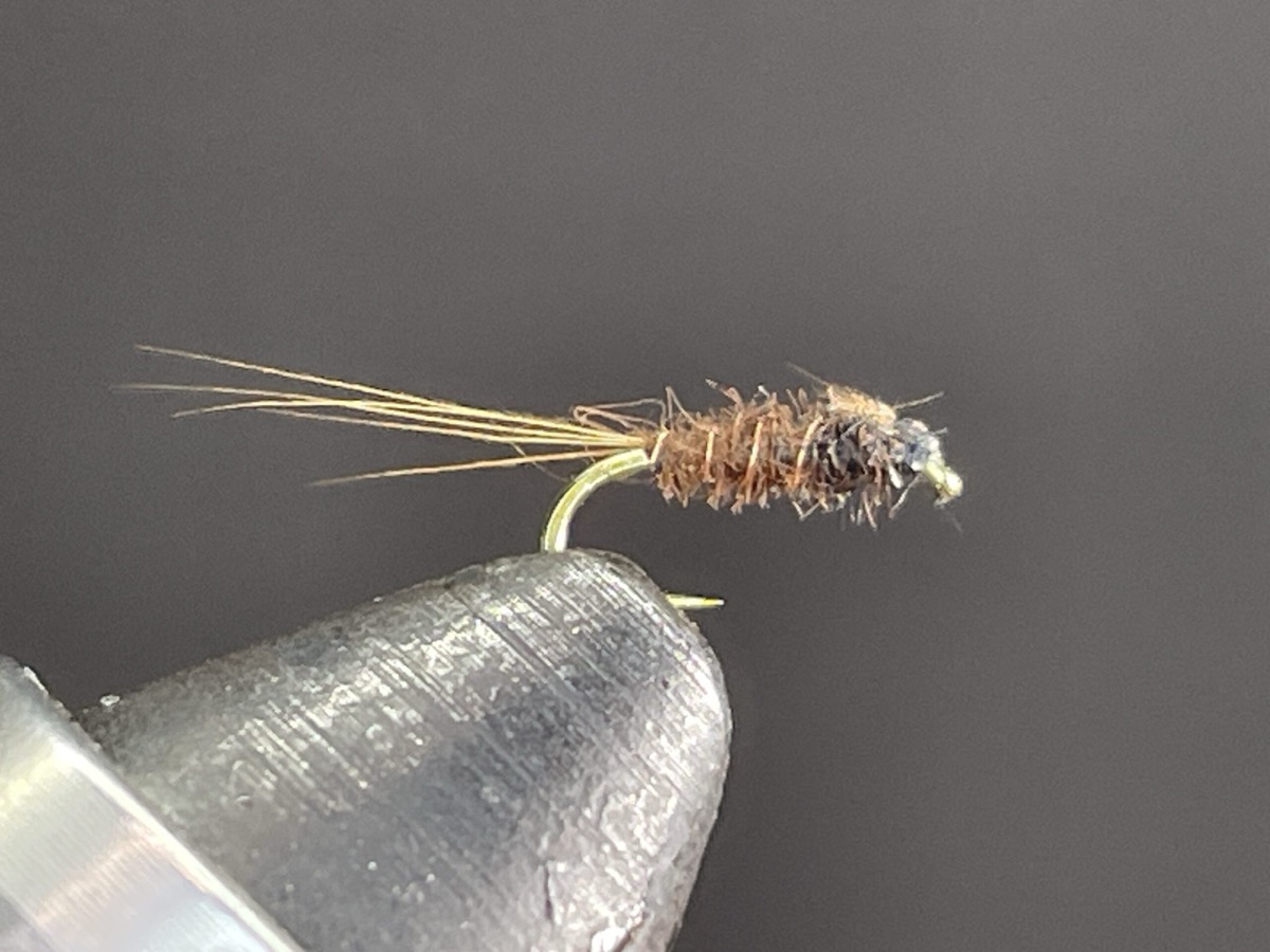 Long Tail Brown Nymph fly pattern tied by Brent Jones