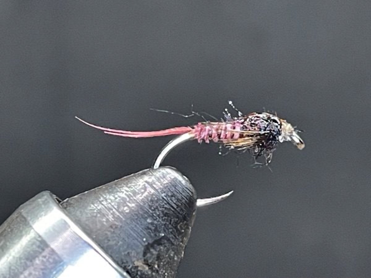 Mahogany Dun Nymph (Paraleptophlebia) fly pattern tied by Brent Jones