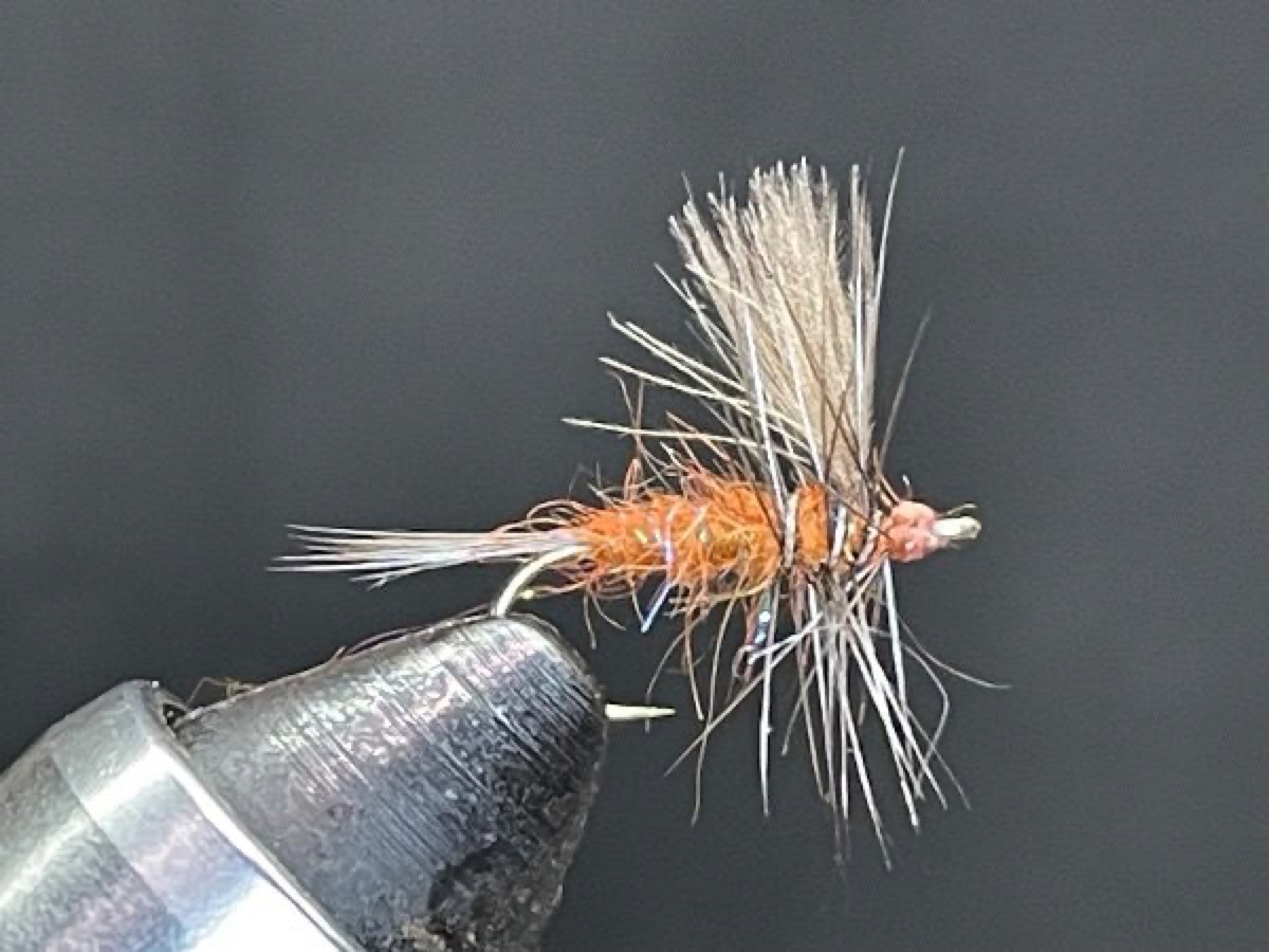Mahogany Dun Emerger (Paraleptophlebia) fly pattern tied by Brent Jones