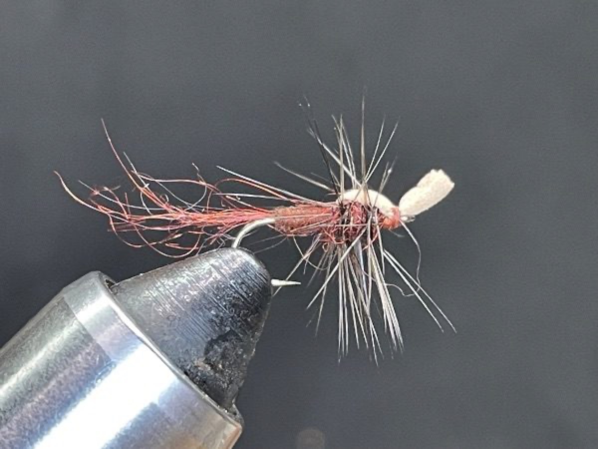 Mahogany Dun Cripple (Paraleptophlebia) fly pattern tied by Brent Jones