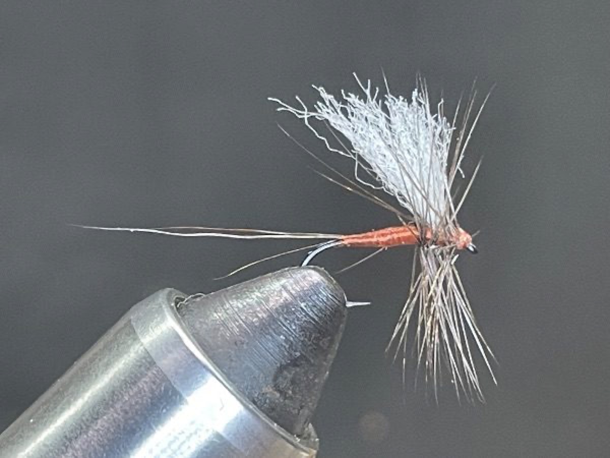 Mahogany Dun Dry Fly (Paraleptophlebia) fly pattern tied by Brent Jones