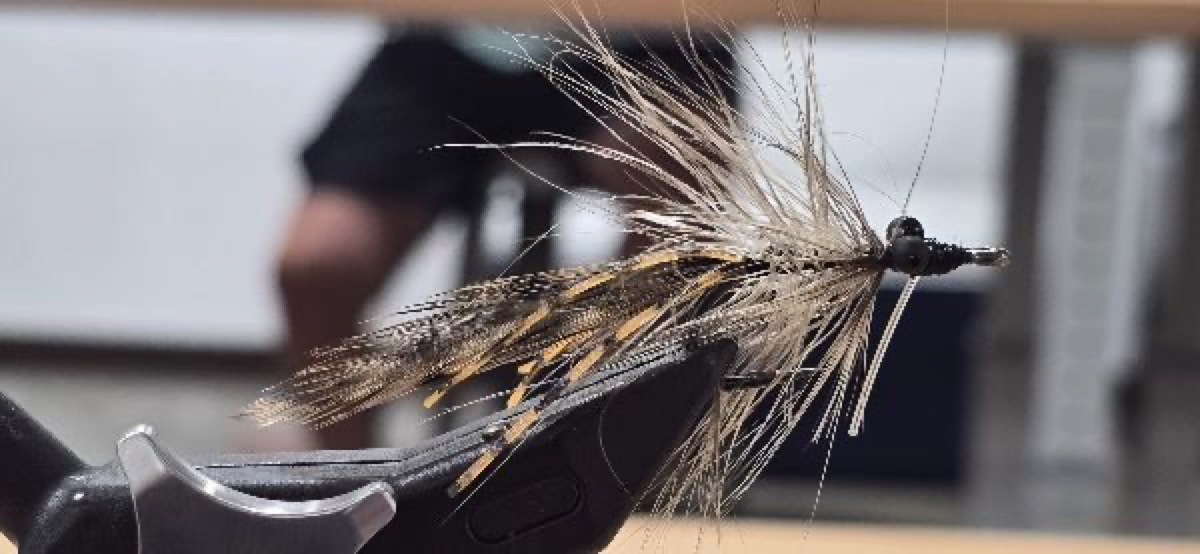 Mogul's Shrimp fly pattern tied by Darrell Olson