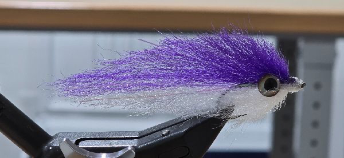 EP Baitfish fly pattern tied by Darrell Olson