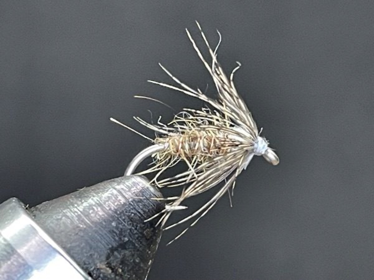 Mr. Rapidan Emerger (Quill Gordon (Epeorus pleuralis) fly pattern tied by Brent Jones