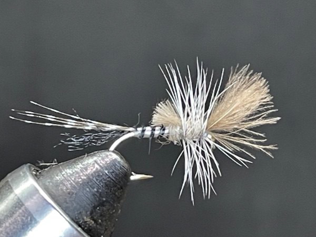 Quill Gordon Cripple (Epeorus pleuralis) fly pattern tied by Brent Jones