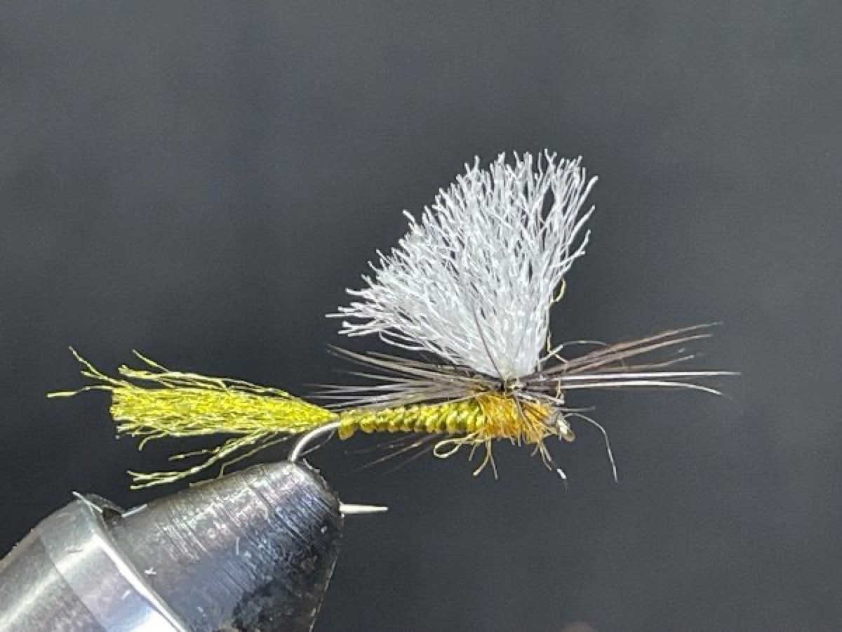EP Quill Gordon Dry Fly (Enrico Puglisi Style) fly pattern tied by Brent Jones
