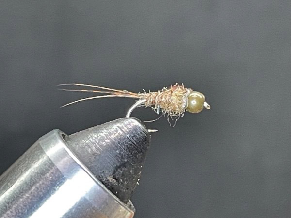 SBR Light Cahill Nymph (Stenacron interpunctatum) fly pattern tied by Brent Jones