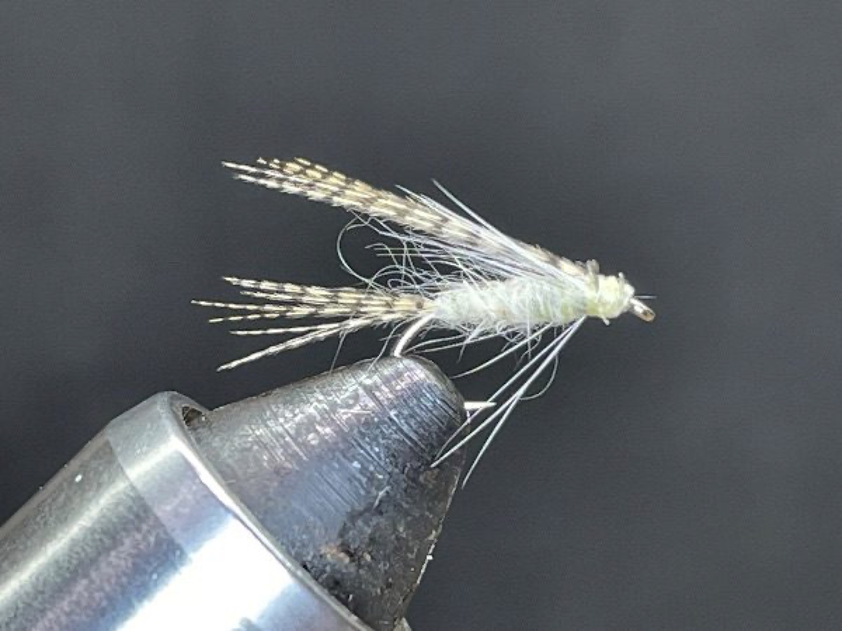Light Cahill Emerger Wet Fly (Stenacron interpunctatum) fly pattern tied by Brent Jones