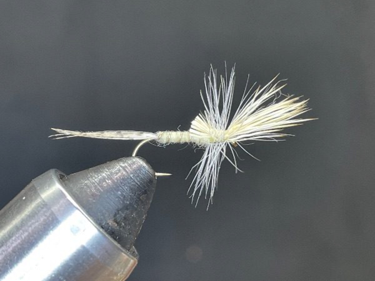 Light Cahill Cripple (Stenacron interpunctatum) fly pattern tied by Brent Jones