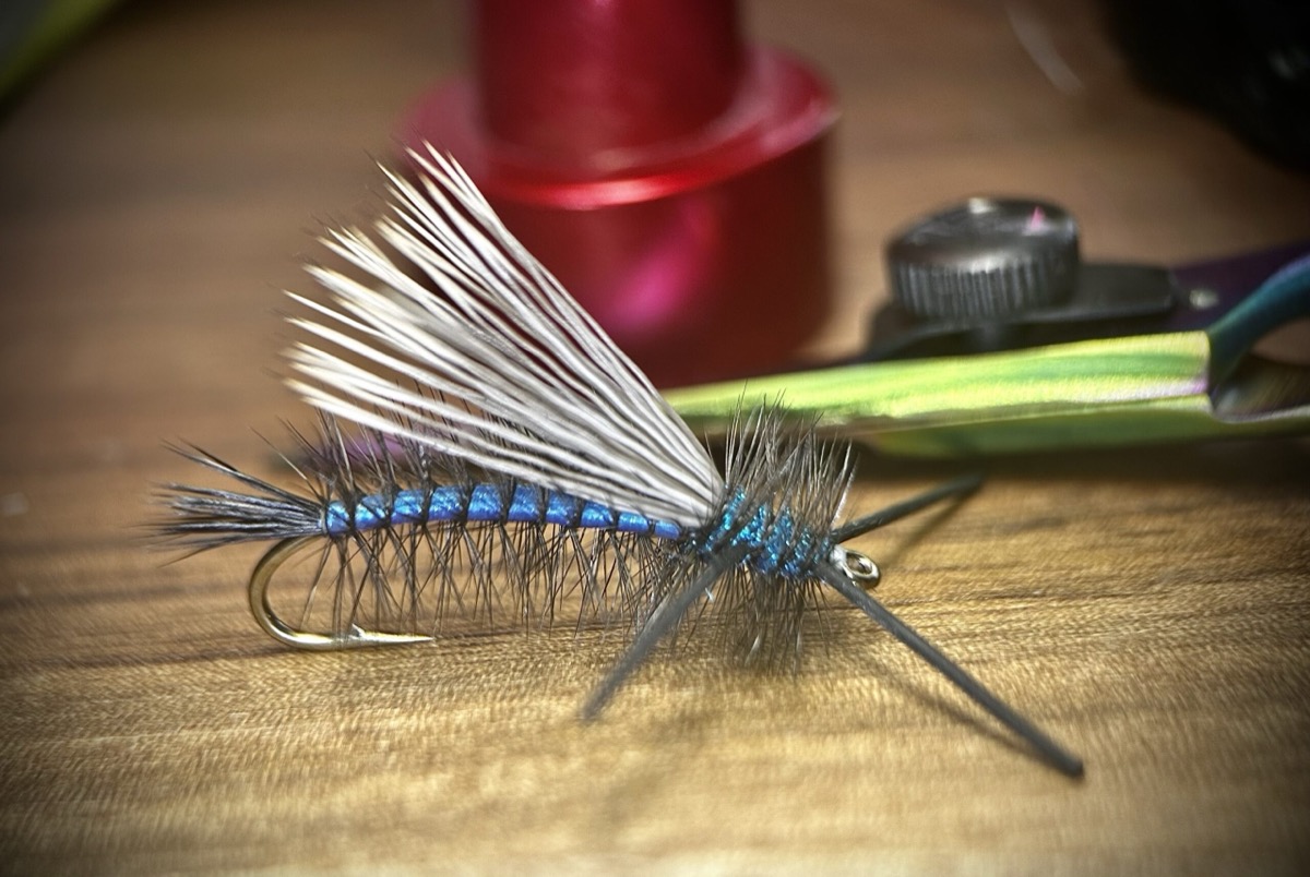 The Damsel Stimulator fly pattern tied by Ryan Storch