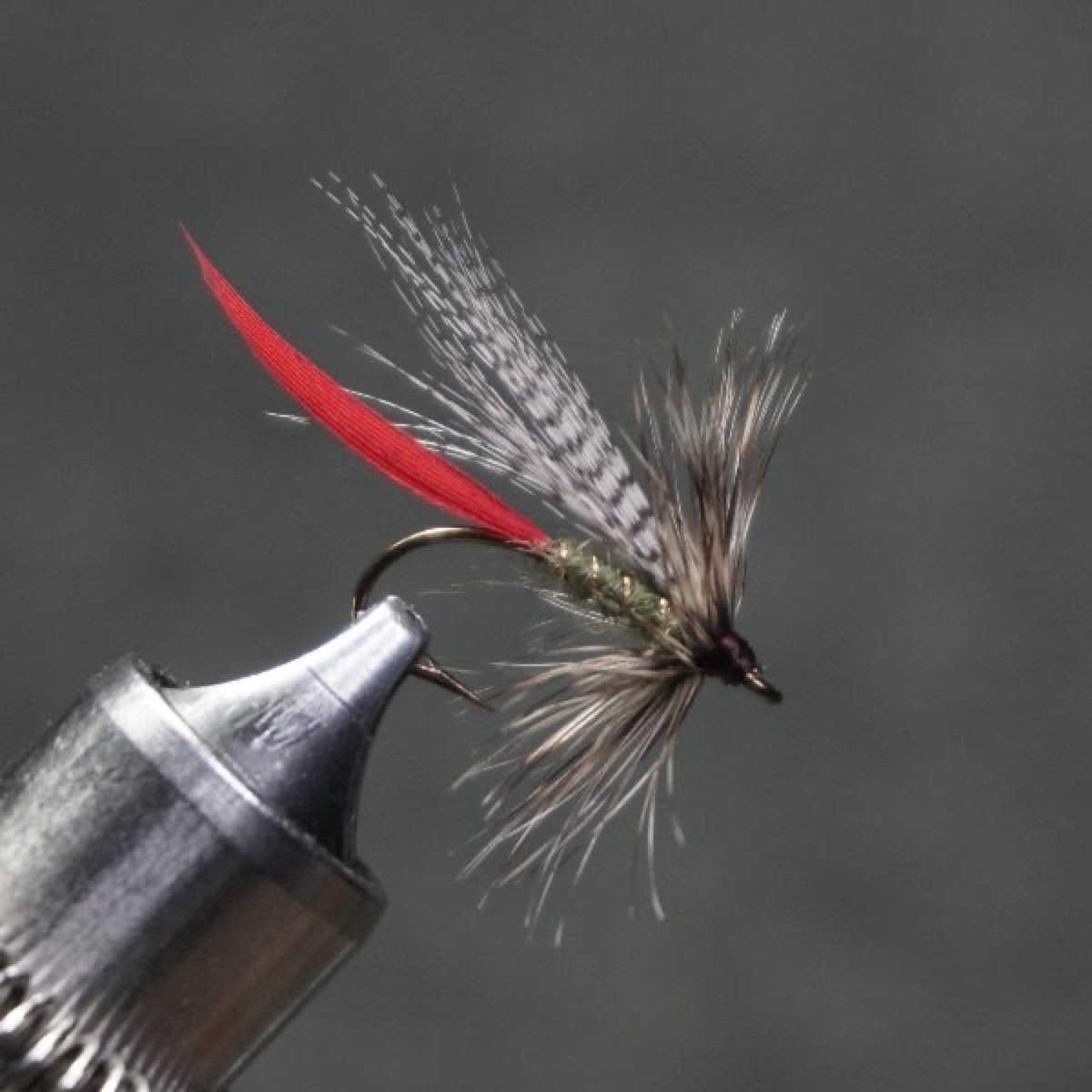 Grizzly King fly pattern tied by Christian Andrews