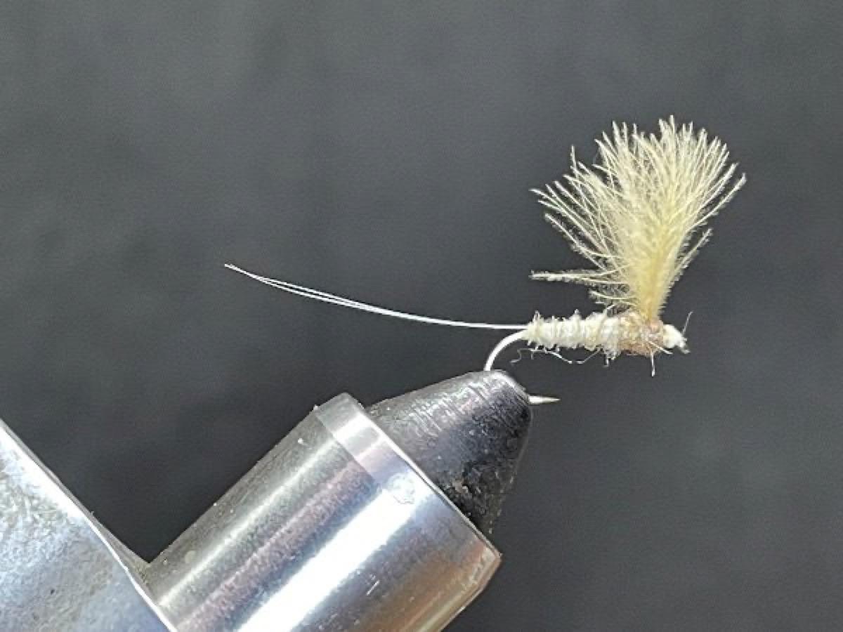 Light Cahill Comparadun (Stenacron interpunctatum) fly pattern tied by Brent Jones