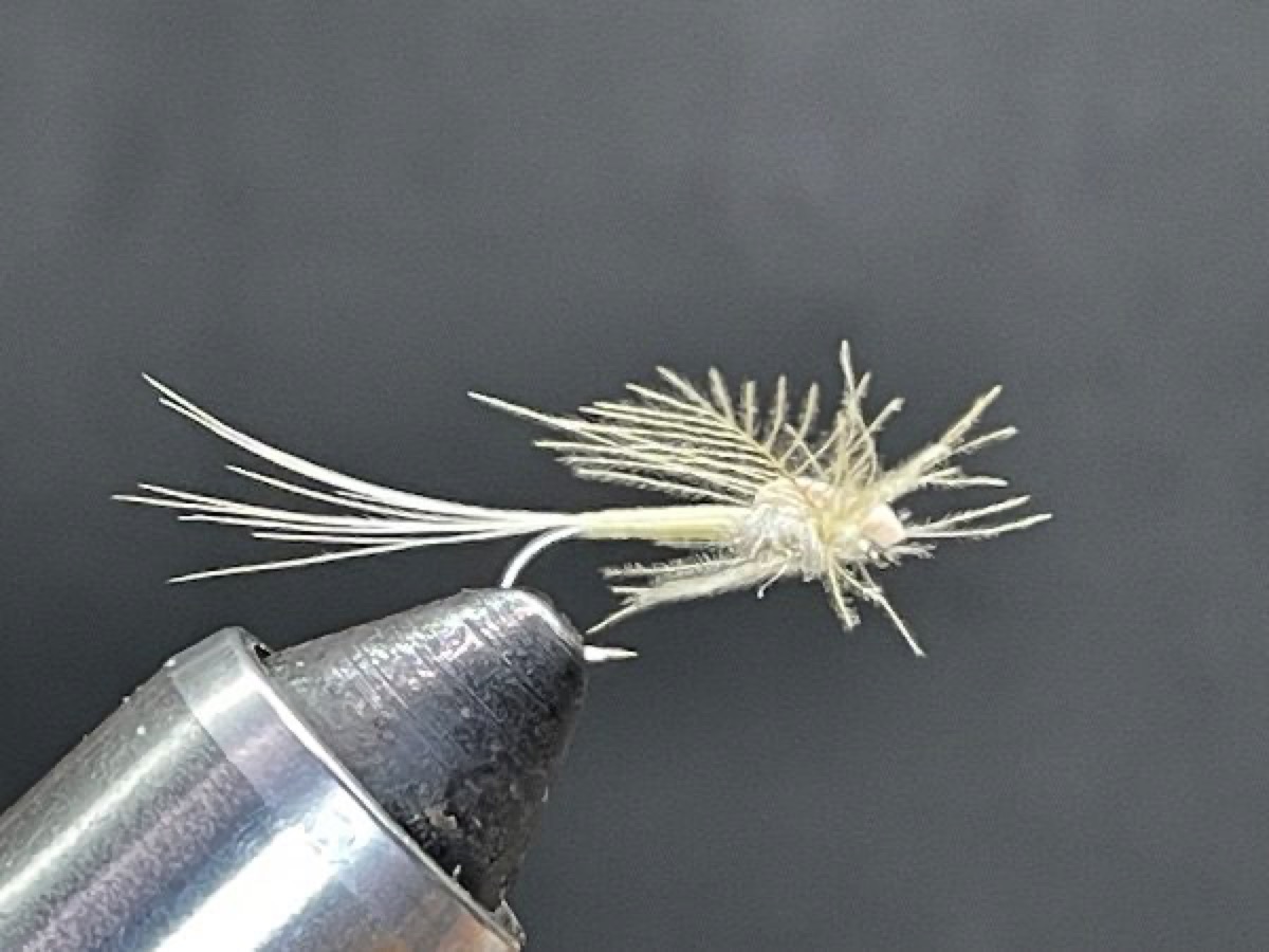 Light Cahill Spinner (Stenacron interpunctatum) fly pattern tied by Brent Jones