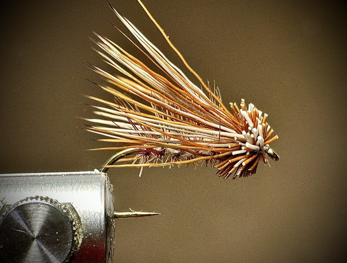 Skating Tan Caddis fly pattern tied by Ryan Storch