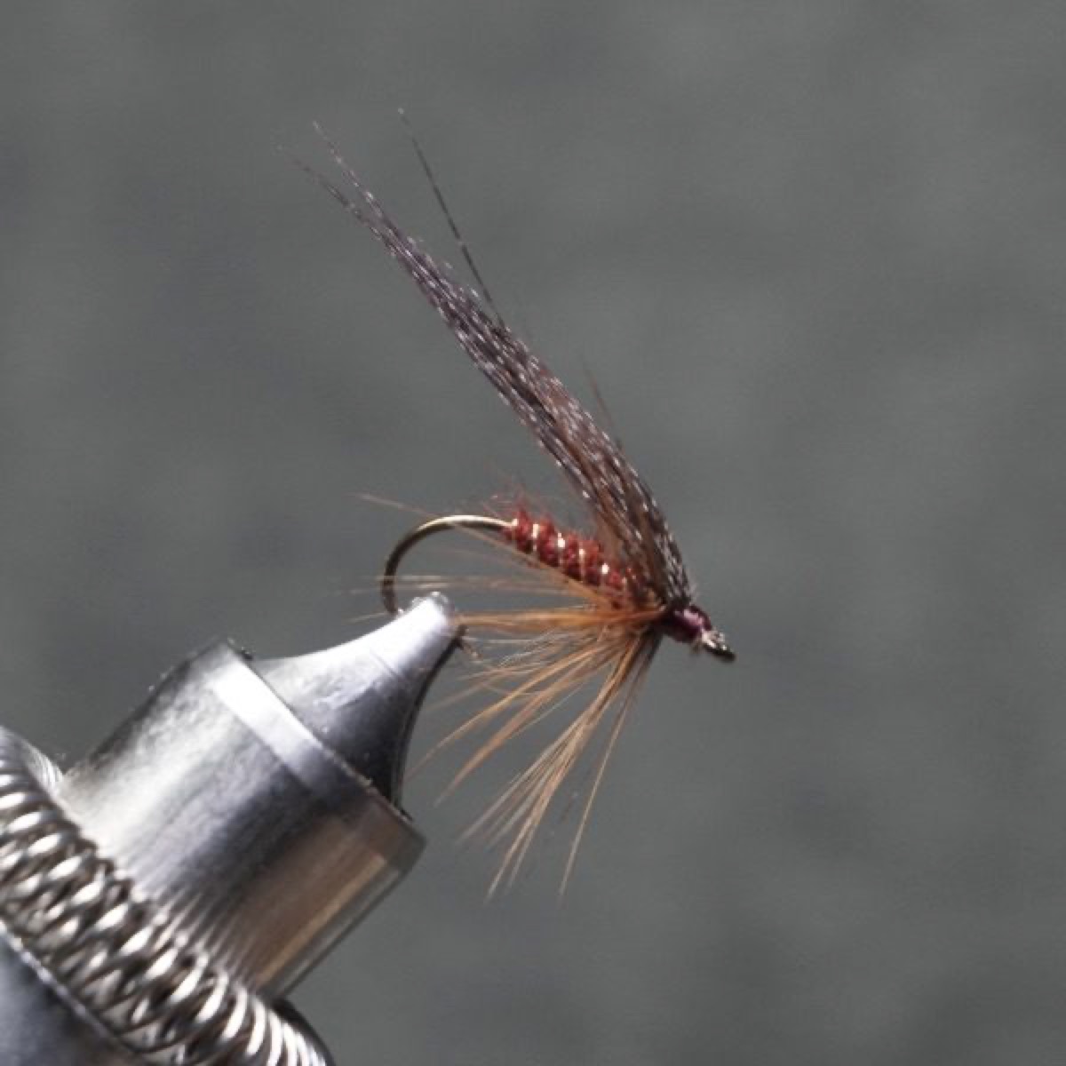Grayling Fly fly pattern tied by Christian Andrews