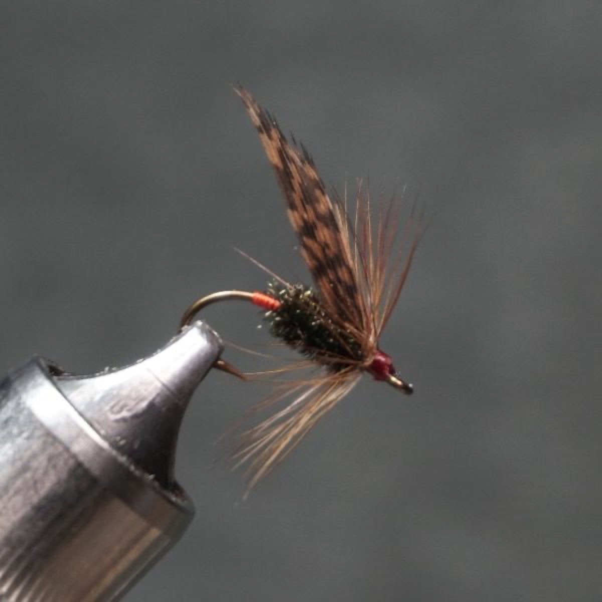 Governor fly pattern tied by Christian Andrews