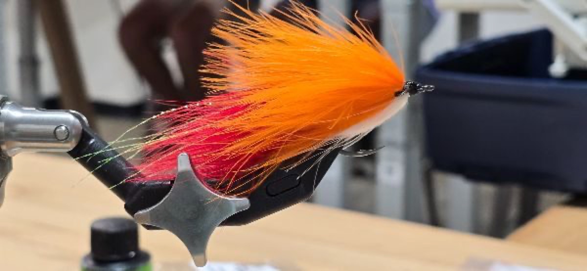 Conner's Shark Fly fly pattern tied by Darrell Olson