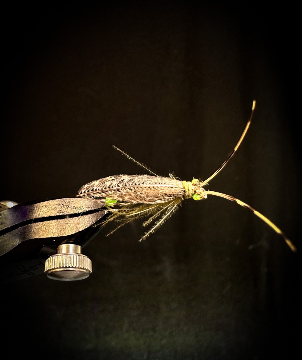 An Egg Laying Caddis fly pattern tied by Brian Smith