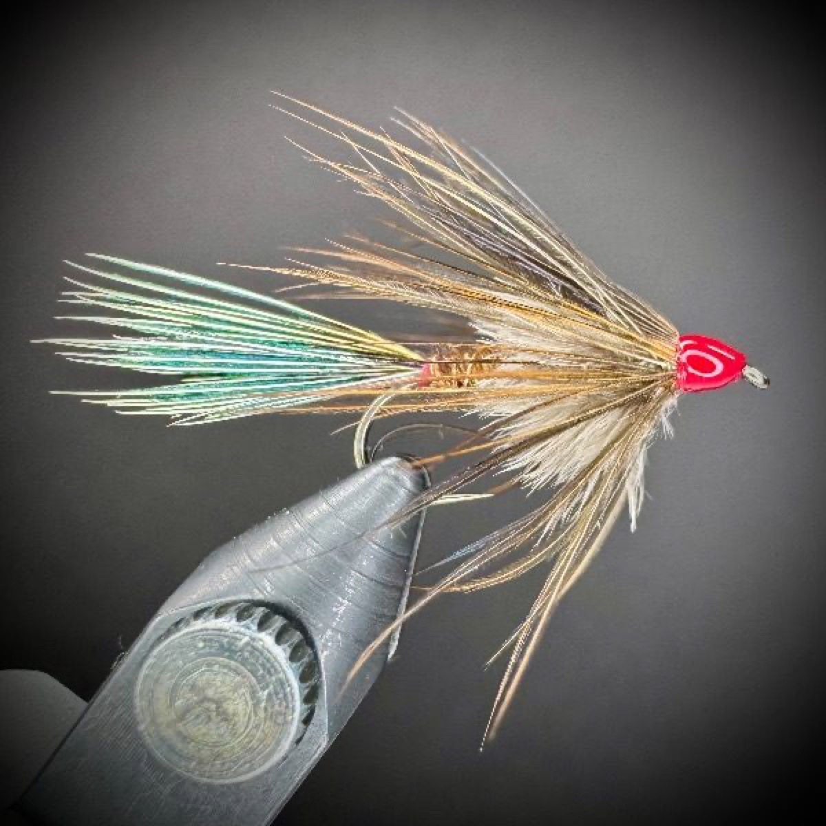 Ditch Chicken fly pattern tied by Joe Glessner