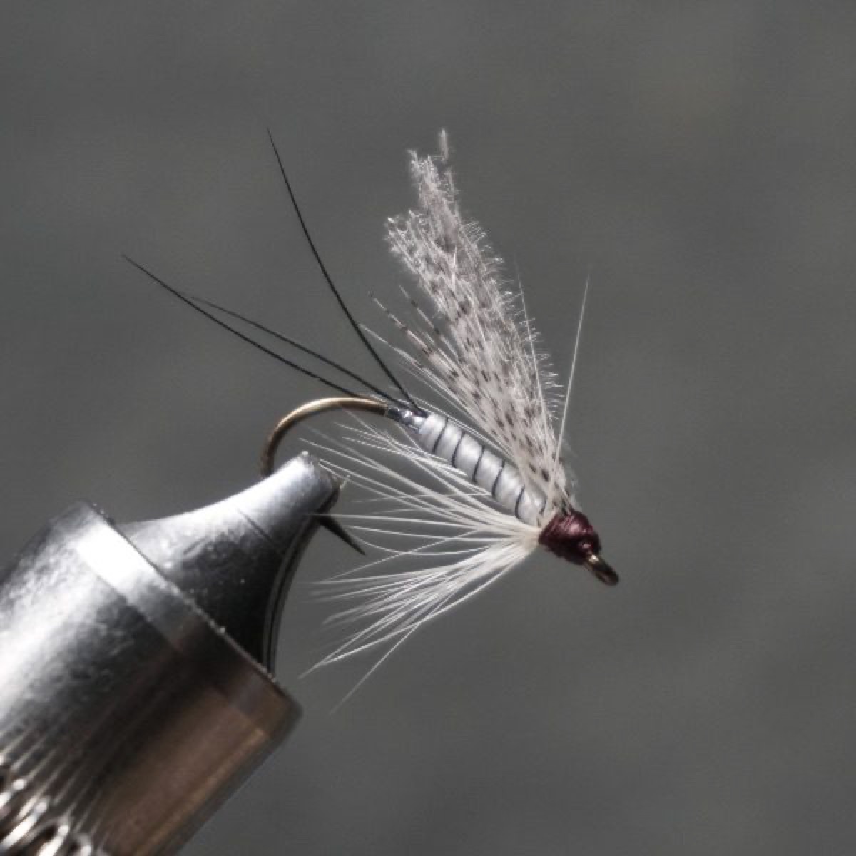 Gray Drake fly pattern tied by Christian Andrews