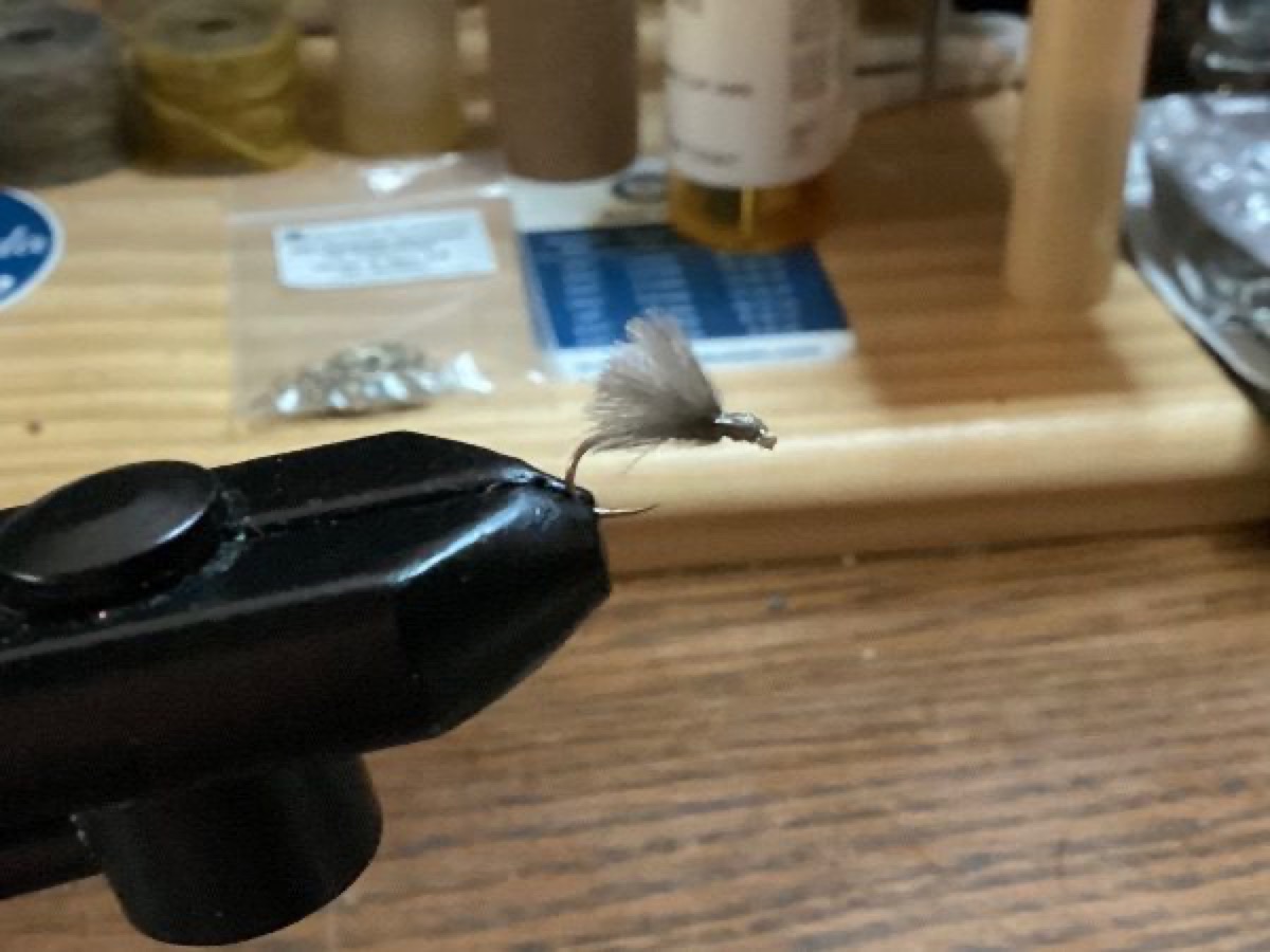 F-Fly fly pattern tied by Mark Toole
