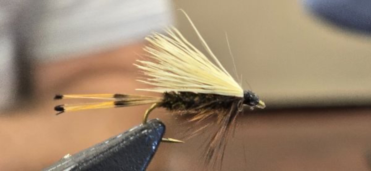 Western Coachman fly pattern tied by Darrell Olson