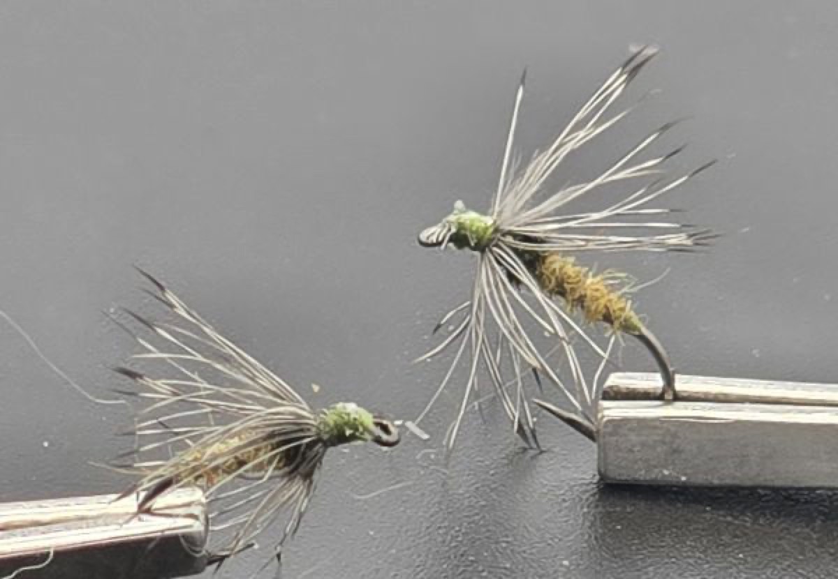 Eastern BWO Soft Hackle fly pattern tied by Darrell Olson