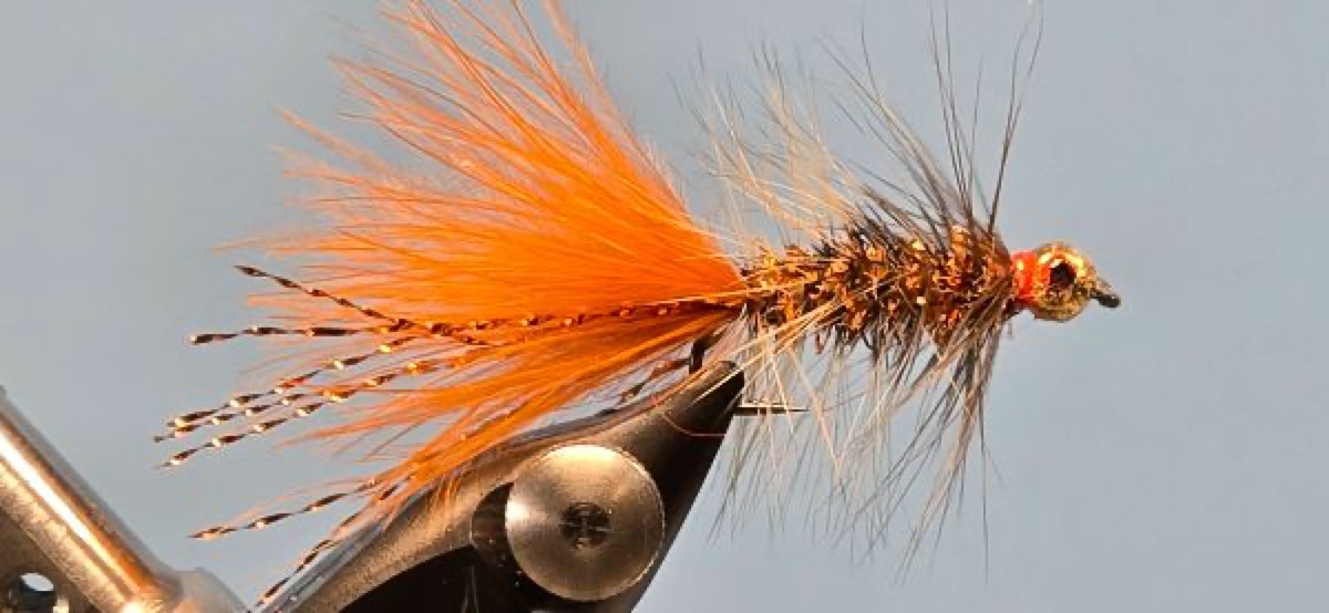 The Chili Pepper fly pattern tied by Darrell Olson